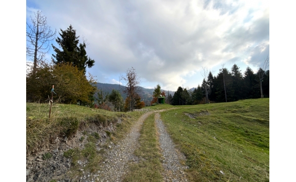 IMG_9784x