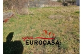 20260224_105509x