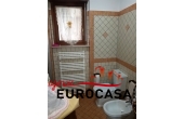 20190319_145946x